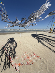 Cervia2026-502