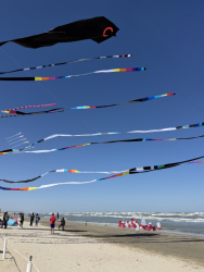 Cervia2026-509