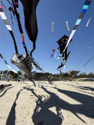 Cervia2026-510