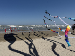 Cervia2026-516