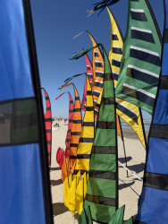 Cervia2026-518