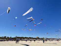 Cervia2026-598
