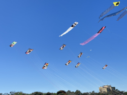 Cervia2026-600