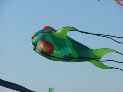 Berck2006-028