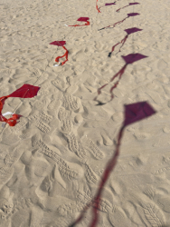 Cervia2026-616