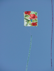 Berck2006-033