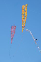 Cervia2026-683
