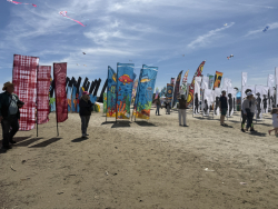 Cervia2026-750