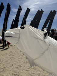 Cervia2026-756