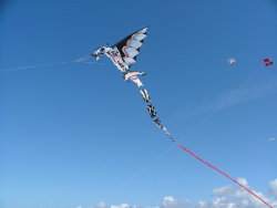 Berck2006-050
