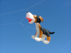 Berck2006-051