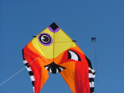 Berck2006-058