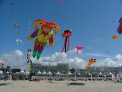 Berck2006-062