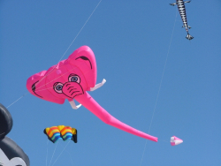 Berck2006-146