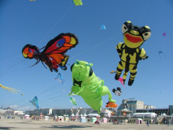 Berck2006-152