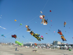 Berck2006-155