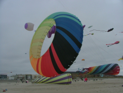 Berck2006-170