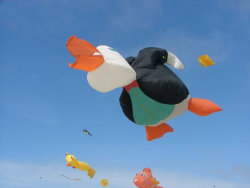 Berck2006-176