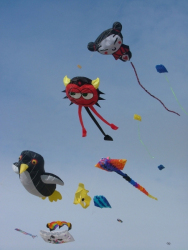 Berck2006-216