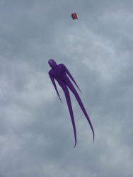 Berck2006-224
