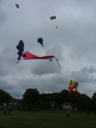 Bolton2006-001