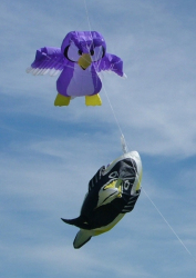 Beacon2006-006