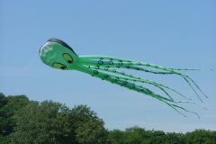 Tatton Park 2006