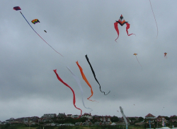 Wirral2006-032