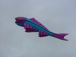 Woodvale2006-013