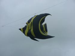 Bristol2006-011
