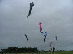 Bristol2006-053