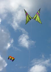 Roundhay2007-006