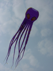 Berck2007-001