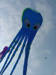 Berck2007-003