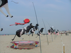 Berck2007-004