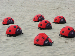 Berck2007-007