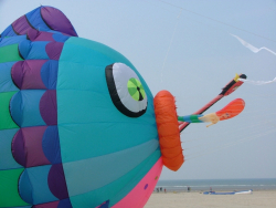 Berck2007-008