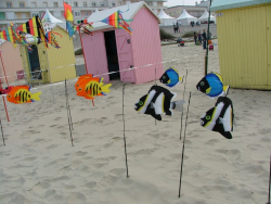 Berck2007-017