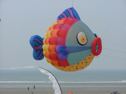 Berck2007-023