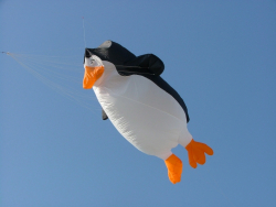 Berck2007-055
