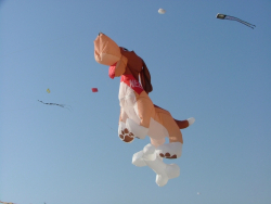 Berck2007-058