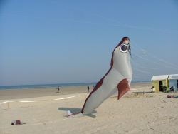 Berck2007-059