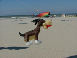 Berck2007-148
