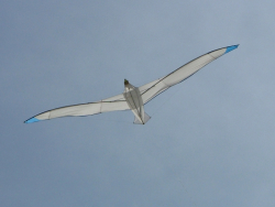 Berck2007-153