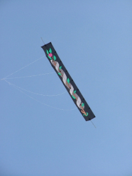 Berck2007-161