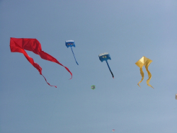Berck2007-168