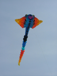 Berck2007-189