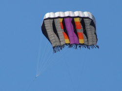 Berck2007-254