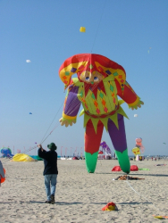 Berck2007-255