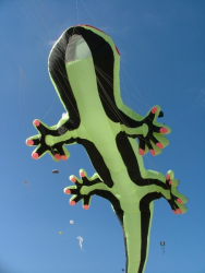 Berck2007-264